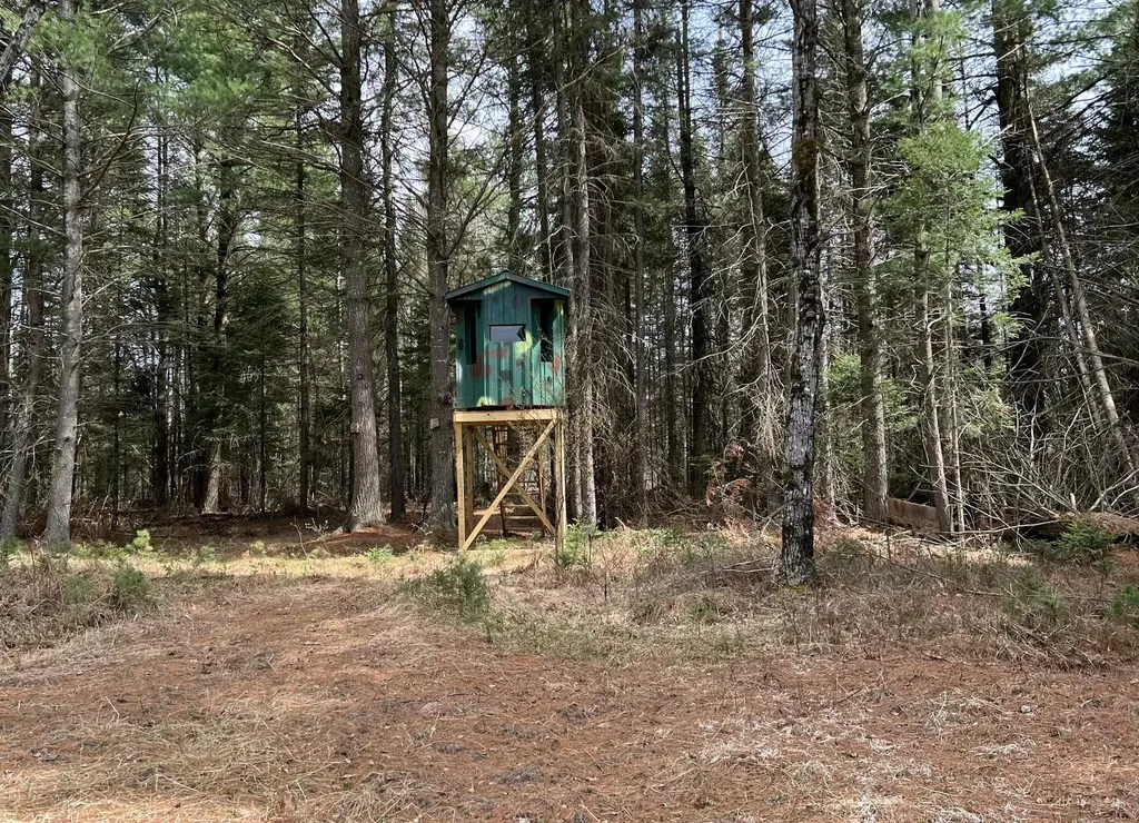 1570 Ryno Road Big Creek Township MI 48636