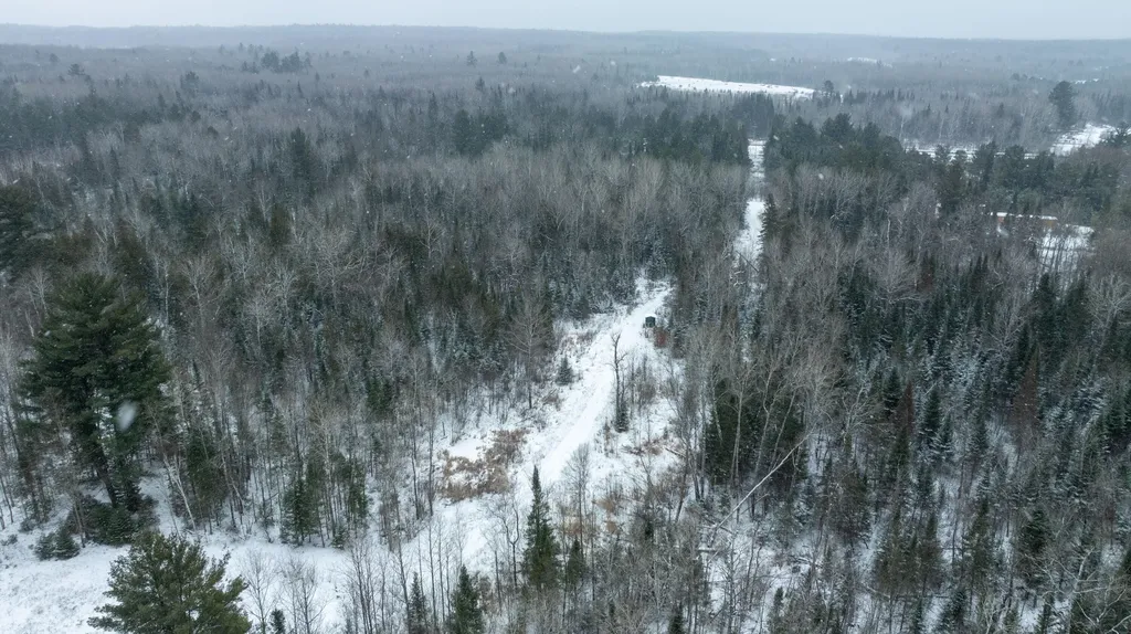1570 Ryno Road Big Creek Township MI 48636