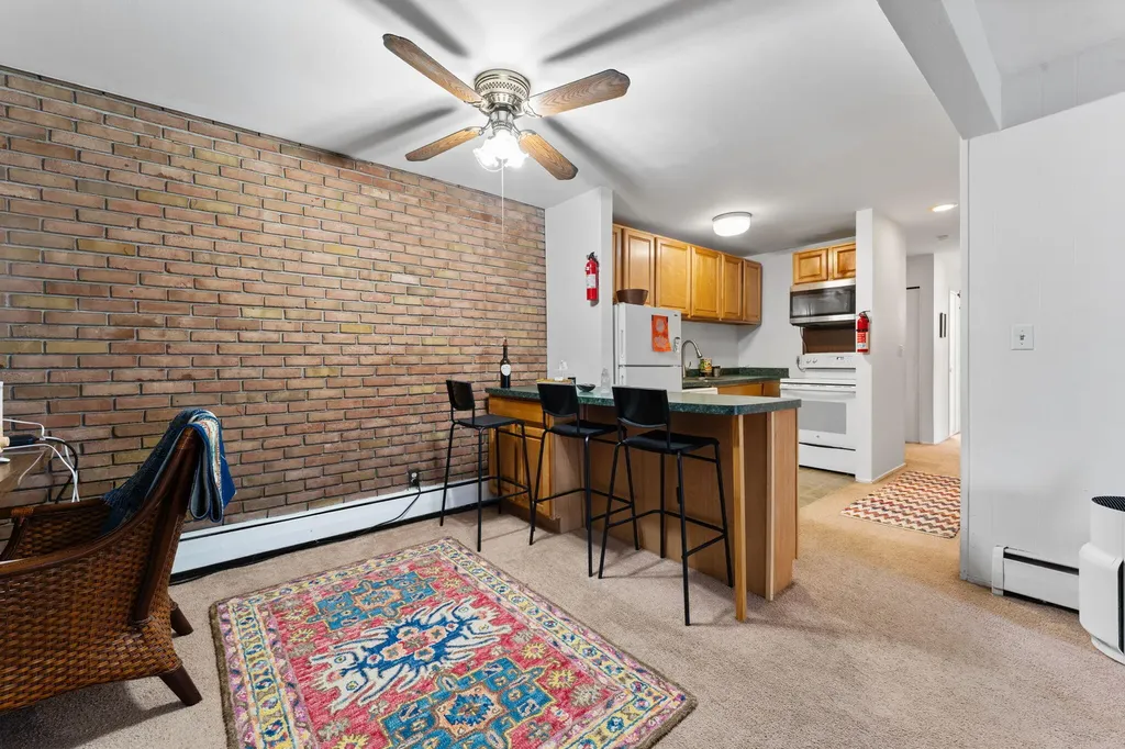 207 Ballard Street Ypsilanti City MI 48197