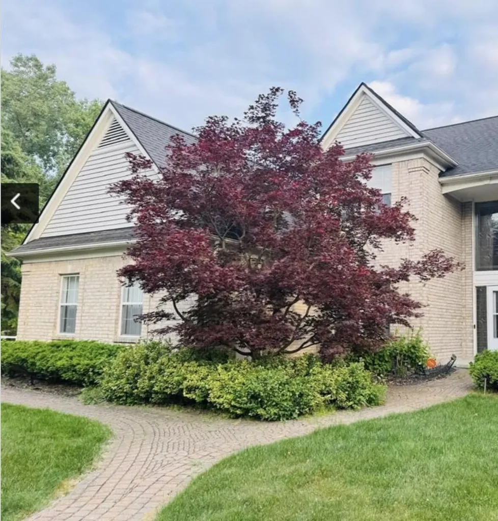 29301 Morningview Street Farmington Hills City MI 48331