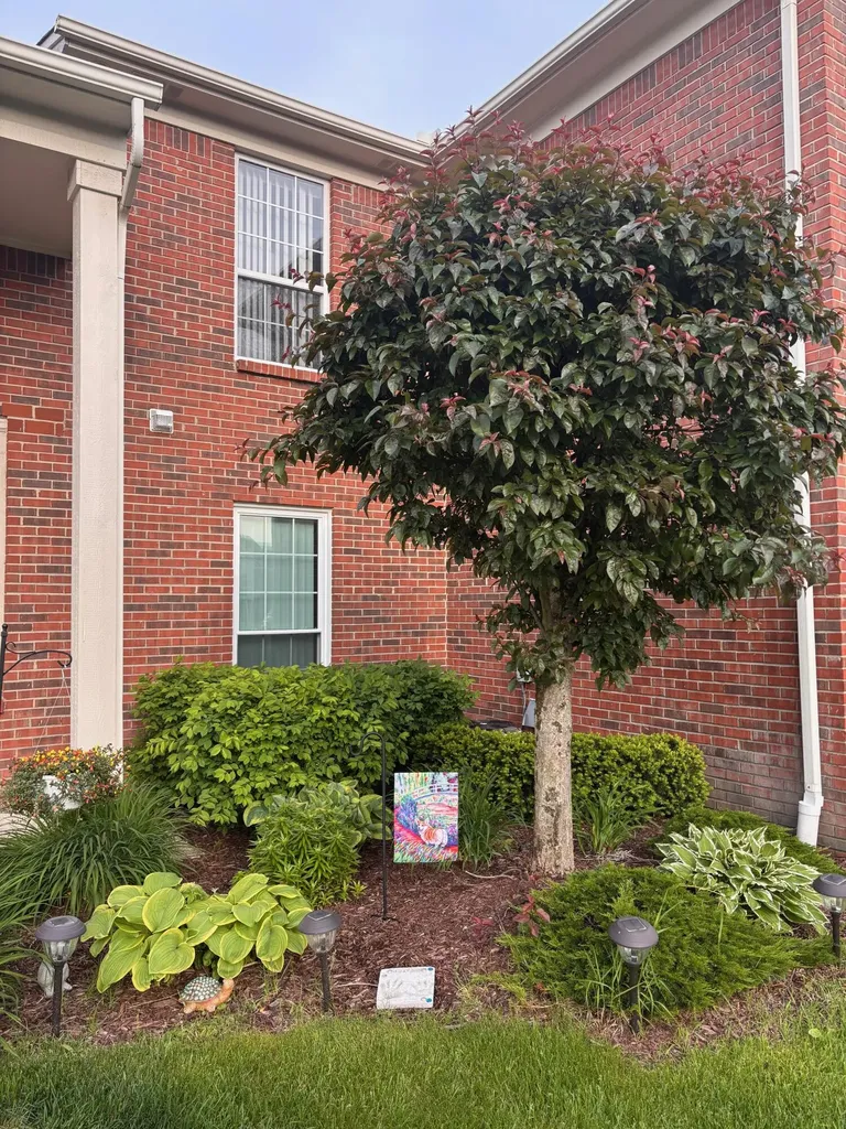 51713 Adler Park Drive W Chesterfield Township MI 48051