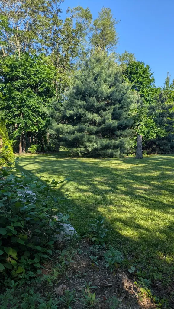 9086 Augusta Street Augusta Charter Township MI 48191