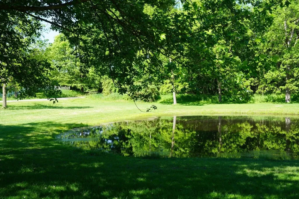 9830 Kennedy Road Henrietta Township MI 49259