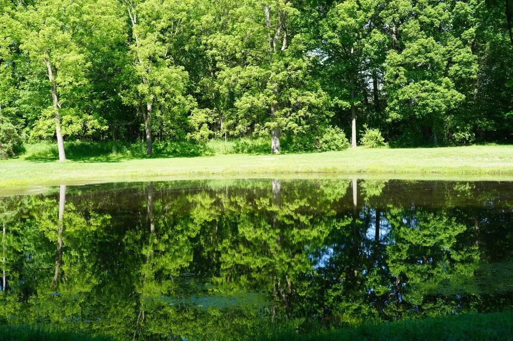 9830 Kennedy Road Henrietta Township MI 49259