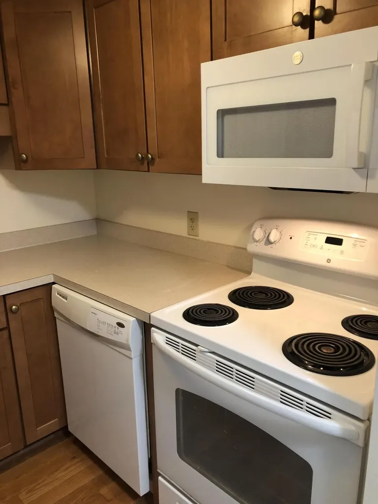 25136 Potomac Drive South Lyon City MI 48178
