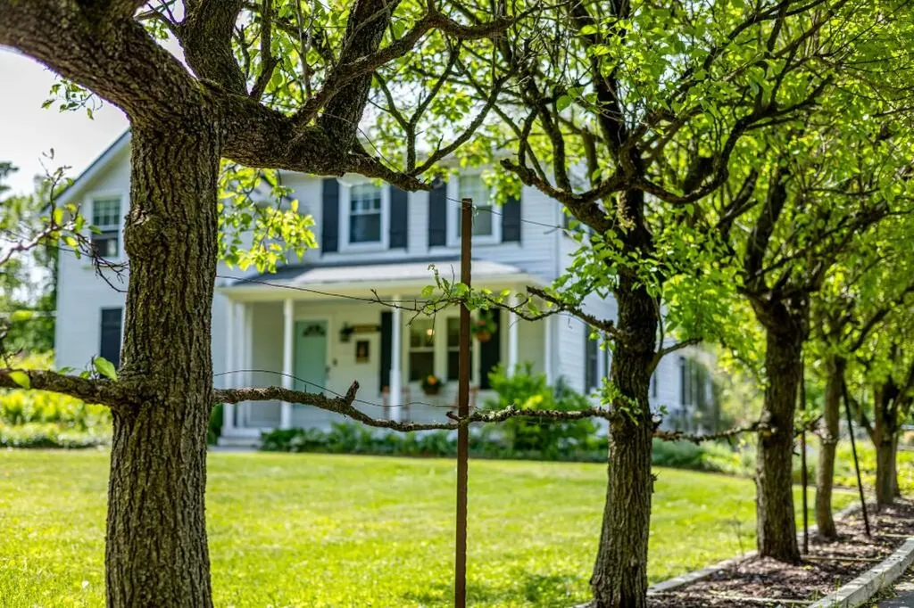 3705 Dexter Ann Arbor Road Scio Township MI 48103