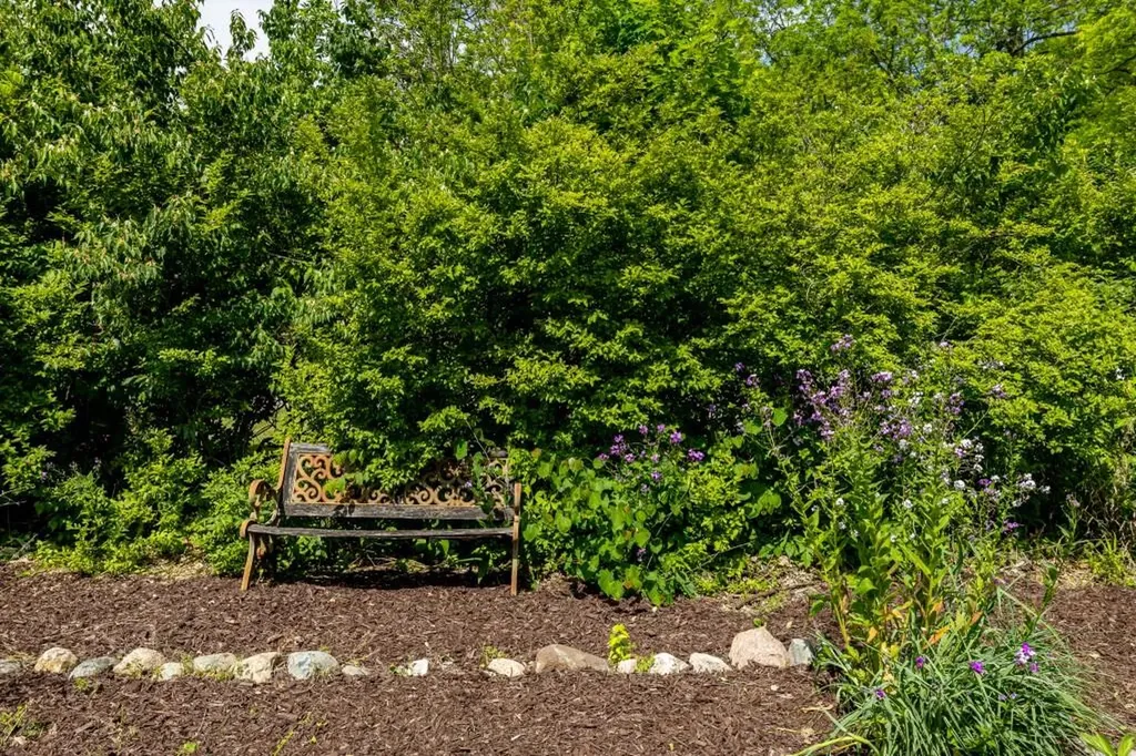 3705 Dexter Ann Arbor Road Scio Township MI 48103