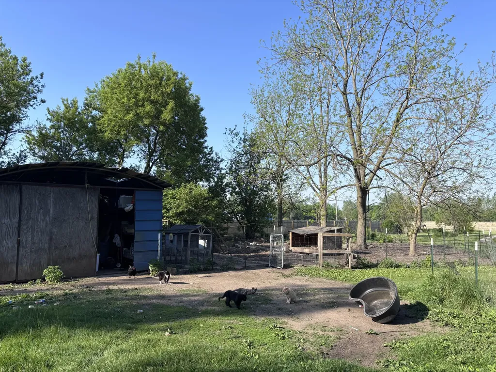 10785 Hitchingham Road Augusta Charter Township MI 48160