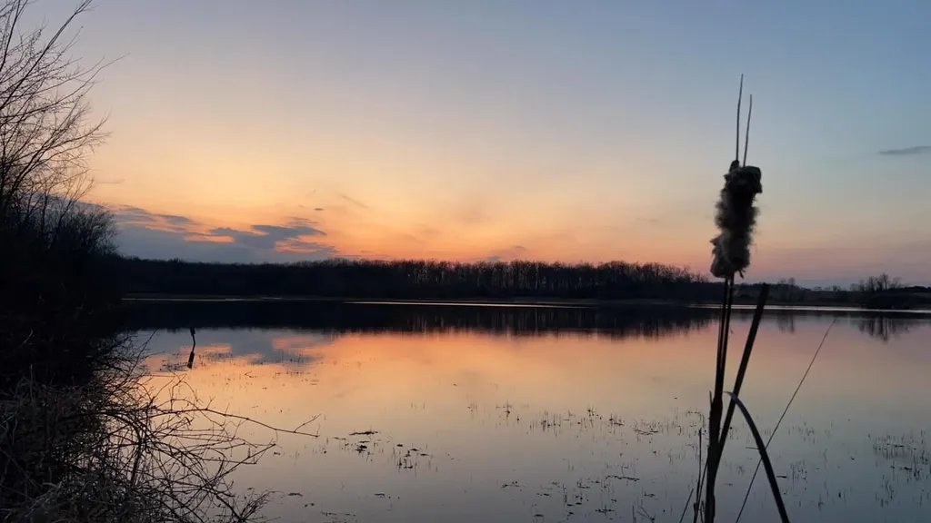 9848 Canandaigua Road Seneca Township MI 49235