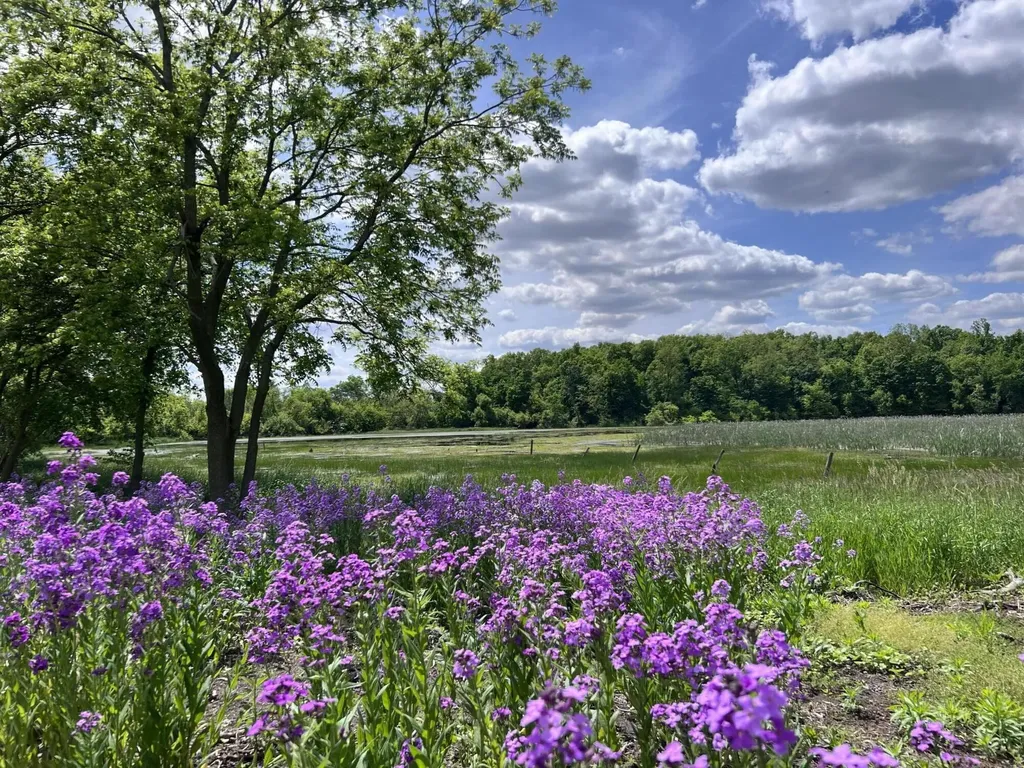9848 Canandaigua Road Seneca Township MI 49235