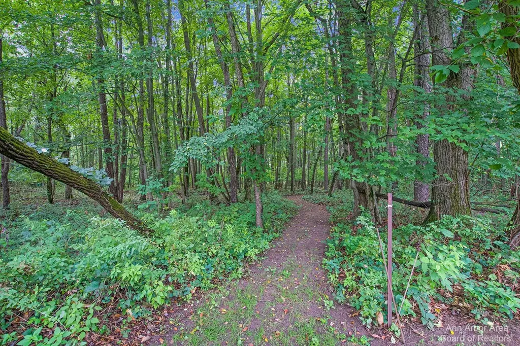 1970 Bridgets Way Unadilla Township MI 48137