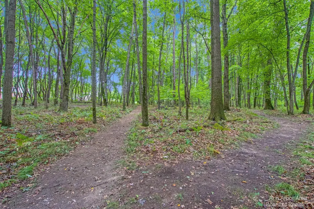 1970 Bridgets Way Unadilla Township MI 48137