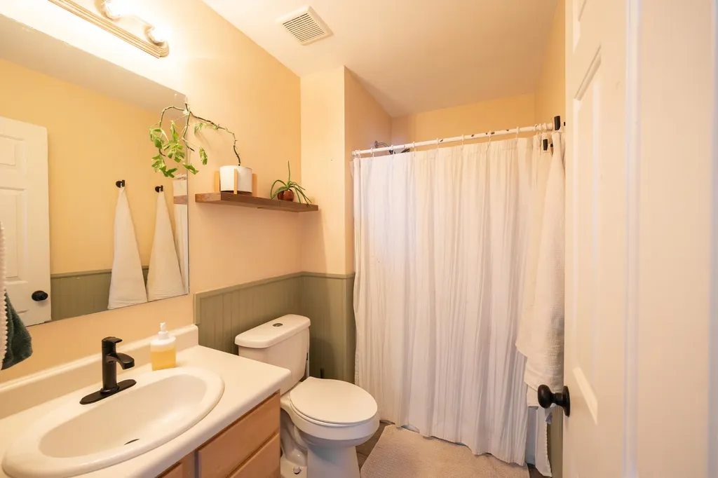 2717 Sycamore River Drive Handy Township MI 48836