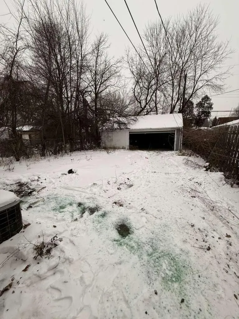 11704 Greenview Avenue Detroit City MI 48228