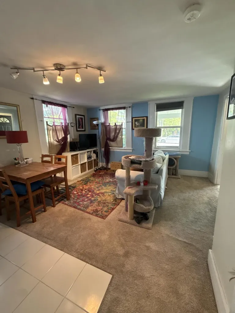 118 Felch Street Ann Arbor City MI 48103