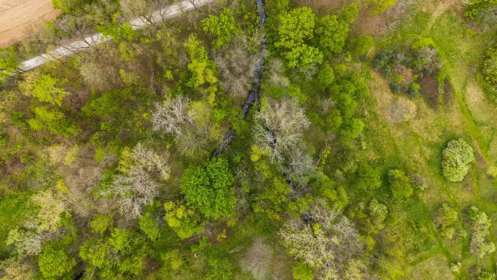 4780 Dutcher Road Iosco Township MI 48843