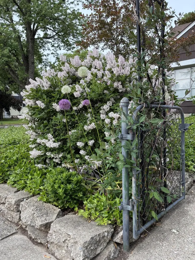 1136 Lester Avenue Ypsilanti Charter Township MI 48198