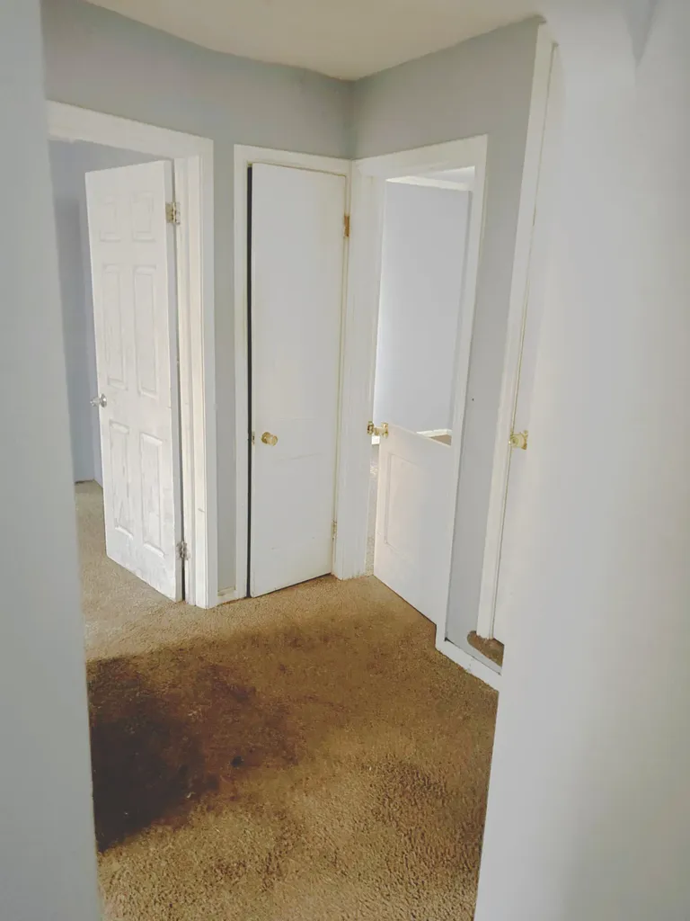 15819 Manning Street Detroit City MI 48205