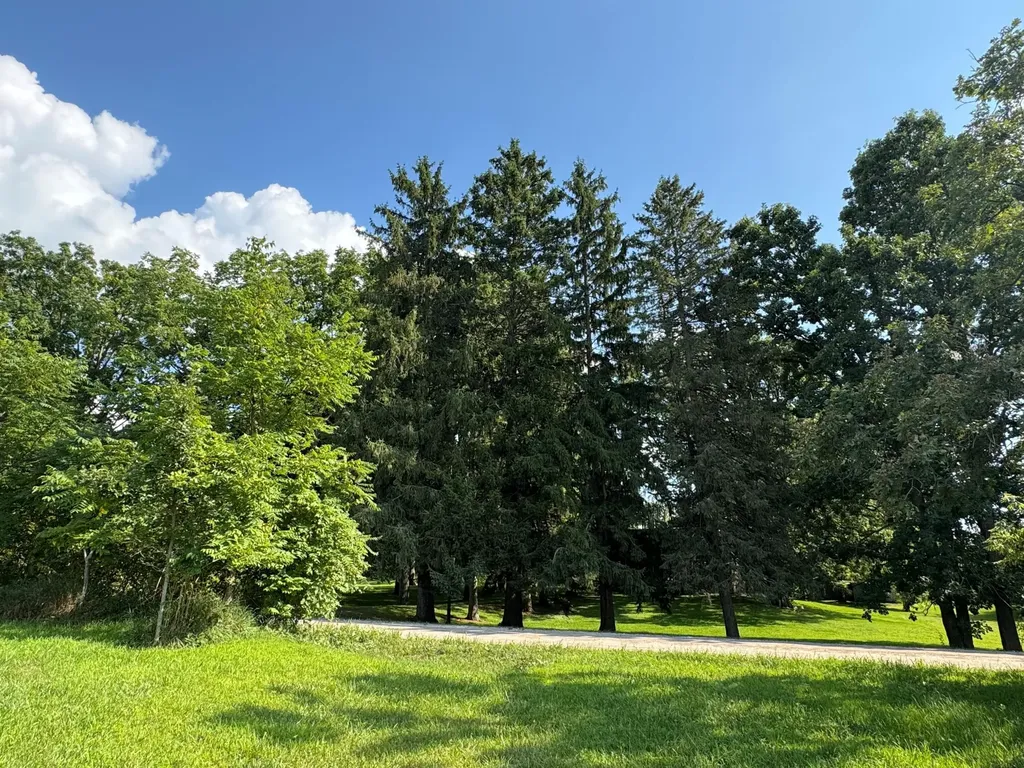 16683 Winters Road Sylvan Township MI 49240