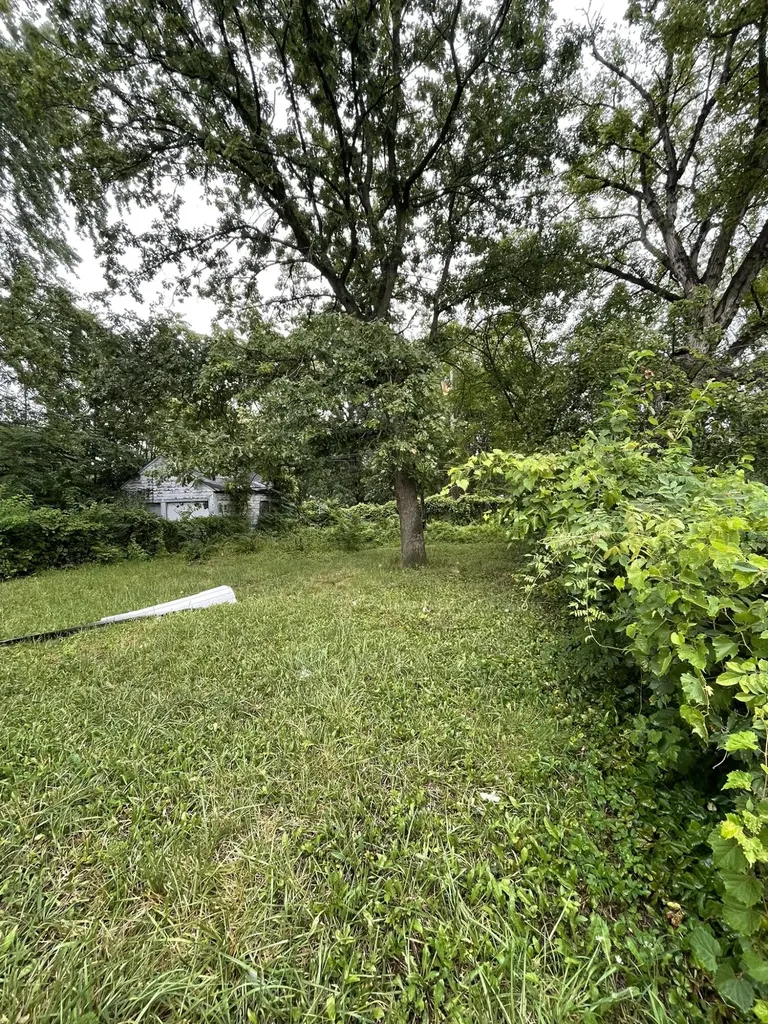 8294 Rosemont Avenue Detroit City MI 48228