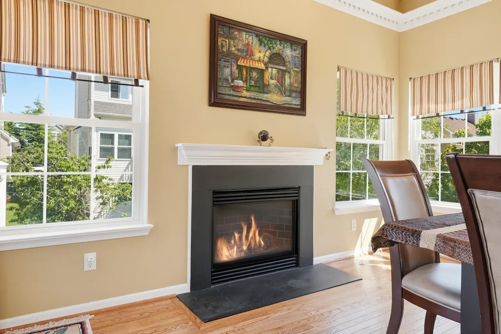 1311 Timmins Drive Ann Arbor City MI 48103