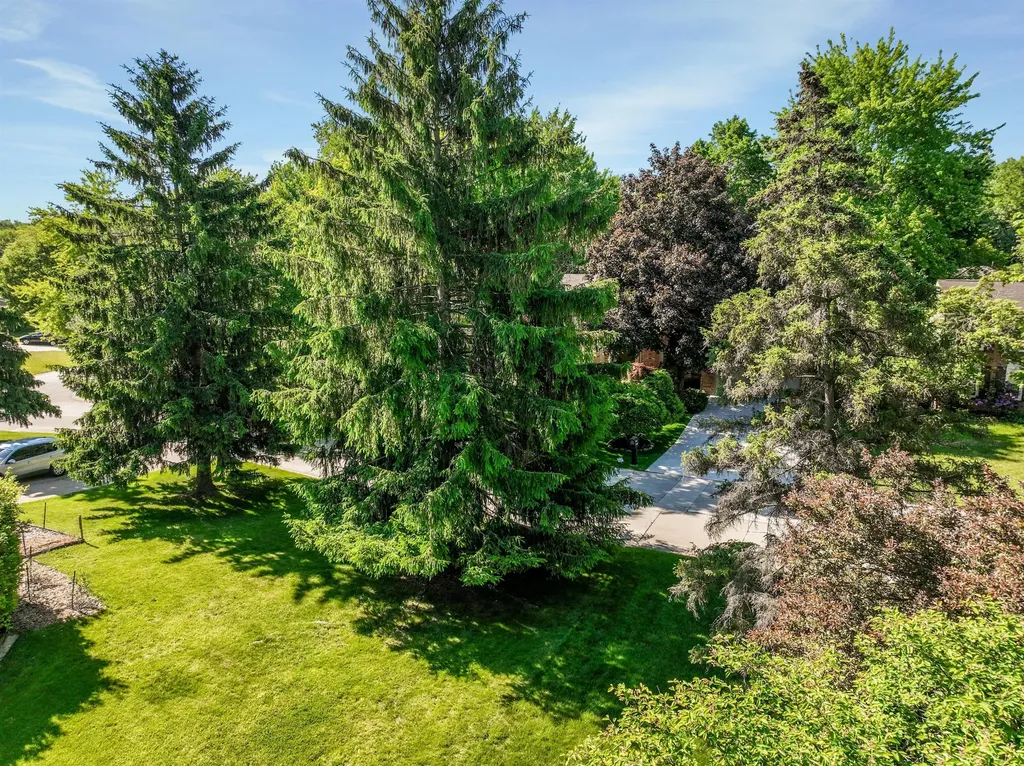 21934 Shadybrook Drive Novi City MI 48375