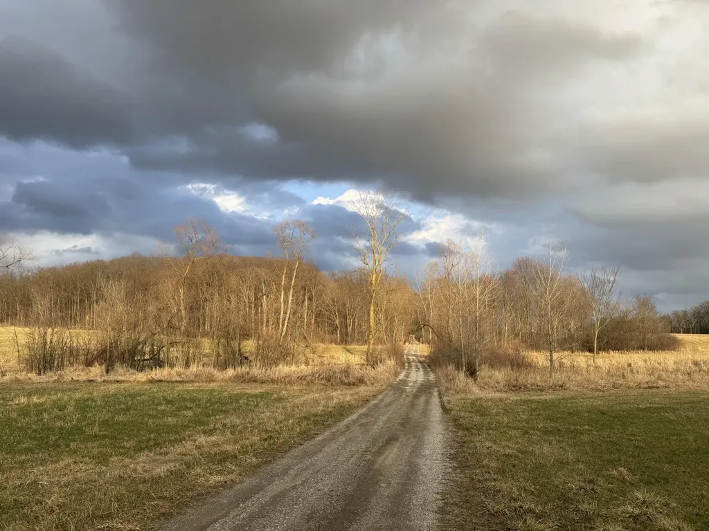 2920 N Harris Road Superior Charter Township MI 48198
