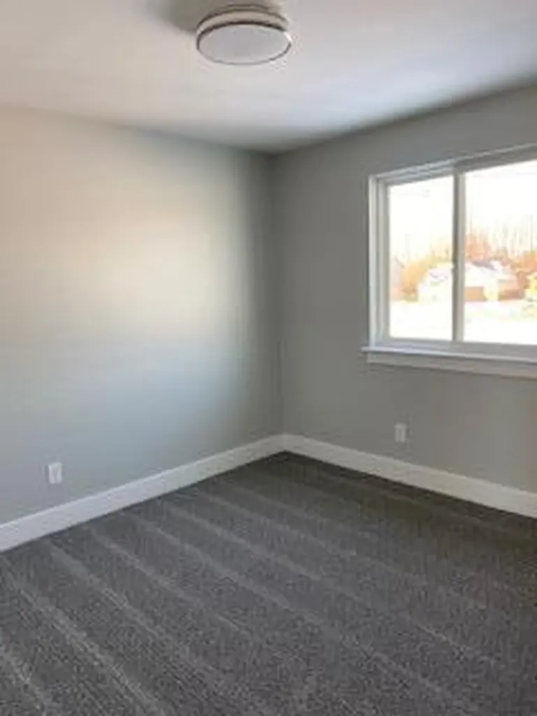 5041 Wilshire Drive Dundee Village MI 48131