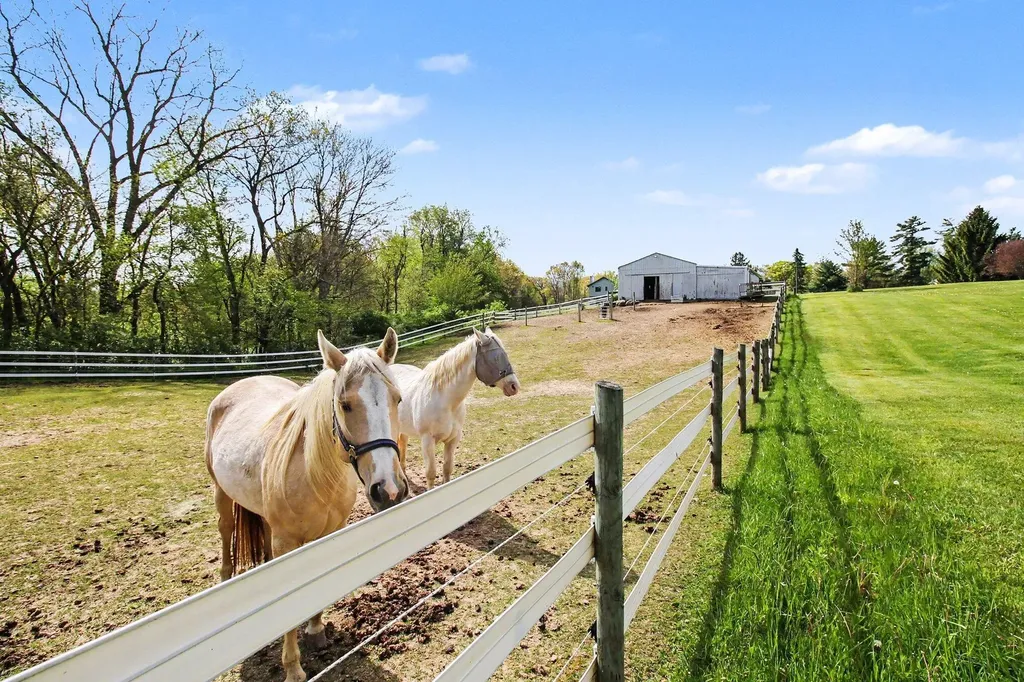 2536 W Coon Lake Road Marion Township MI 48843