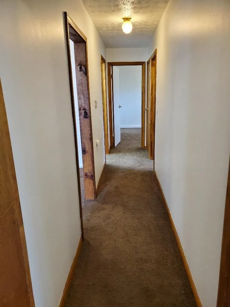 1577 Andrea Street Ypsilanti Charter Township MI 48198