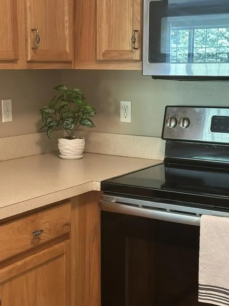 20209 Chesapeake Circle Commerce Charter Township MI 48390
