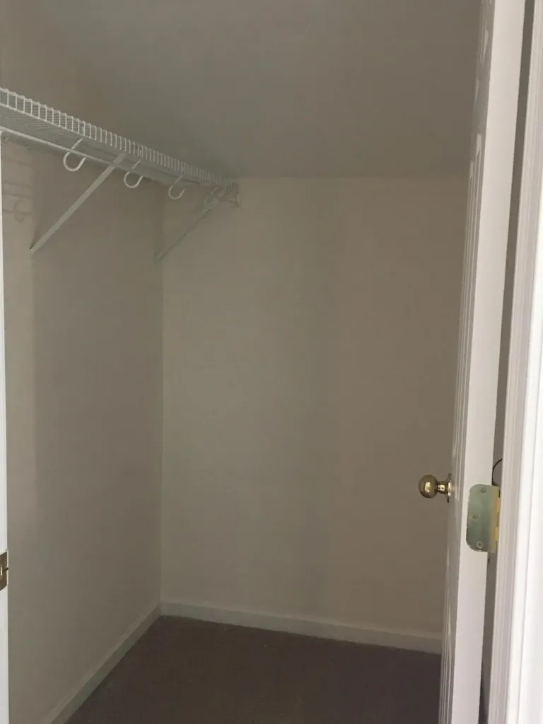 20209 Chesapeake Circle Commerce Charter Township MI 48390