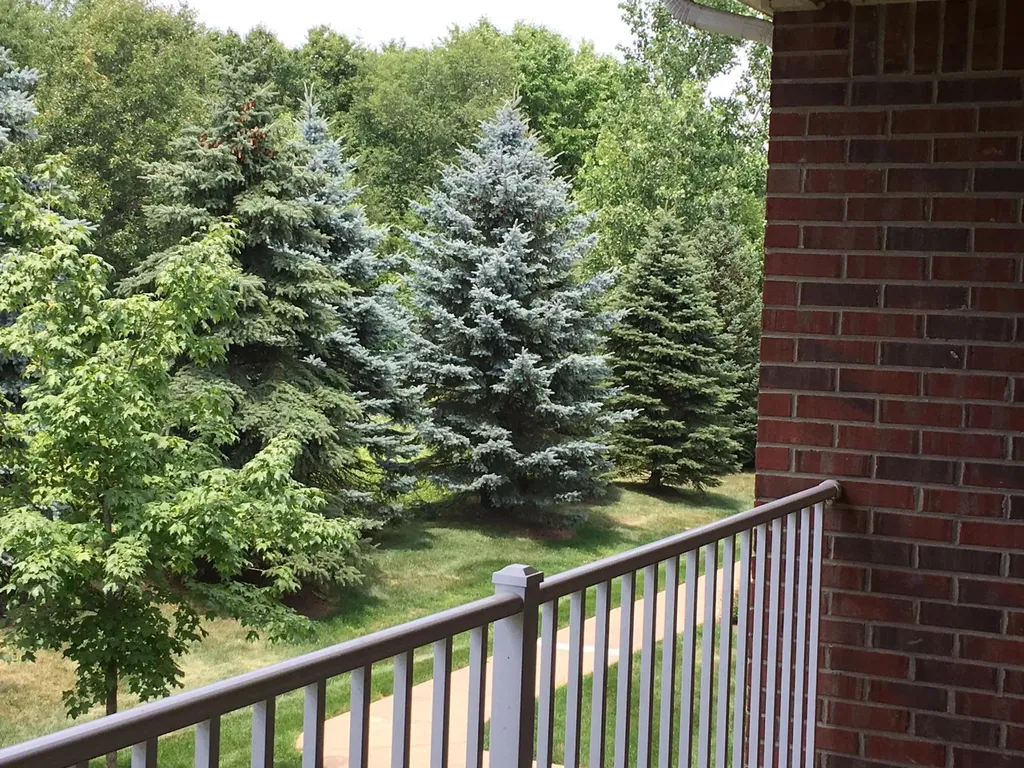 20209 Chesapeake Circle Commerce Charter Township MI 48390