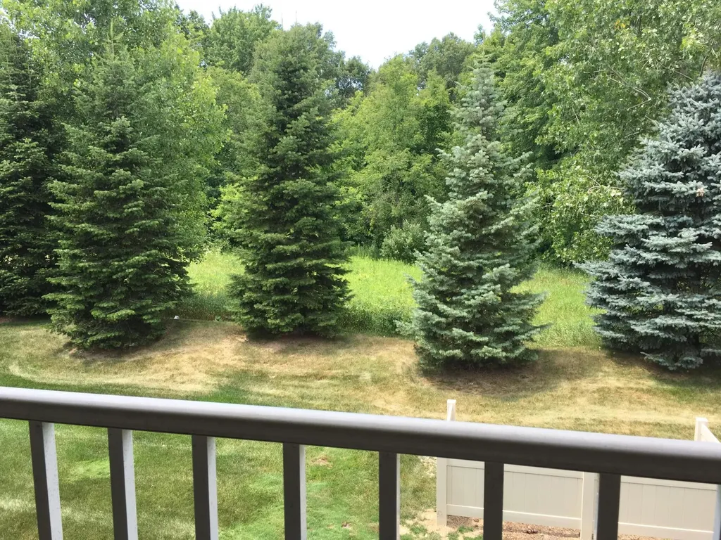 20209 Chesapeake Circle Commerce Charter Township MI 48390