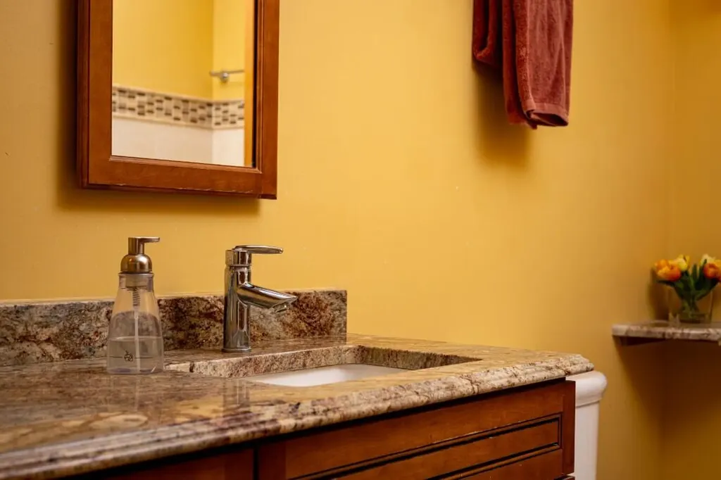 4179 Woodland Drive Scio Township MI 48103
