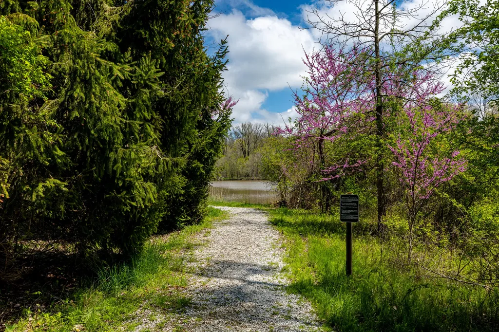 4179 Woodland Drive Scio Township MI 48103