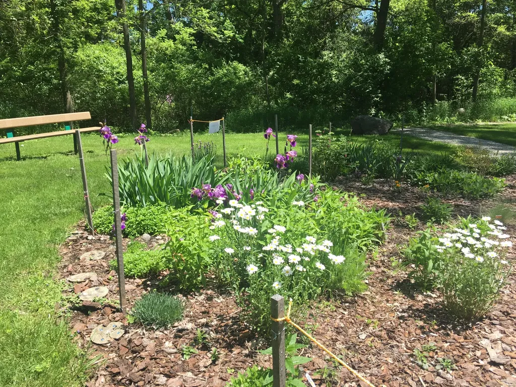 4179 Woodland Drive Scio Township MI 48103