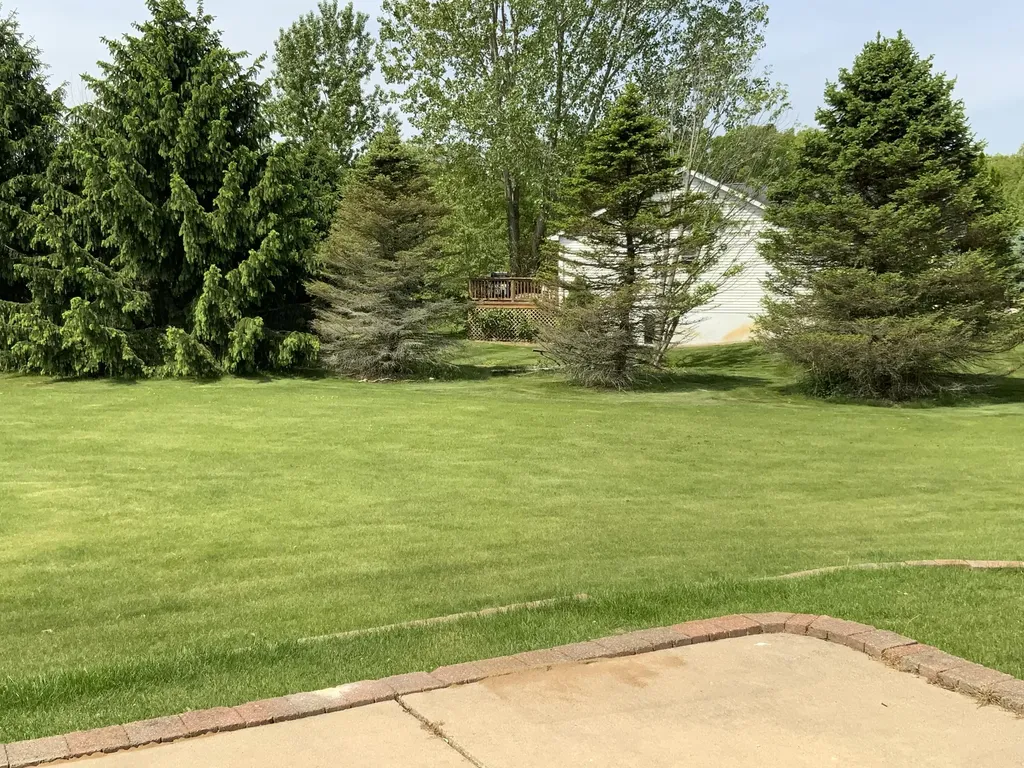 7715 Hidden Knoll Court NE Conway Township MI 48418