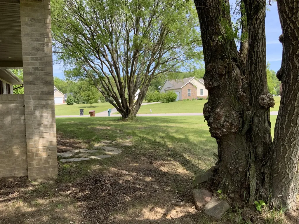 7715 Hidden Knoll Court NE Conway Township MI 48418