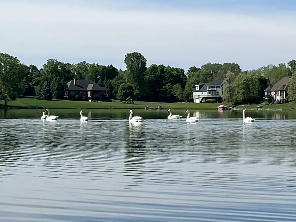 9168 Mirage Lake Drive York Charter Township MI 48160