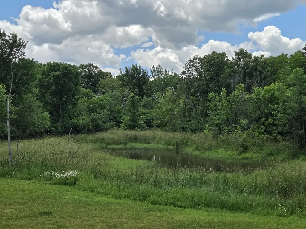 6172 Hellner Road Northfield Township MI 48105
