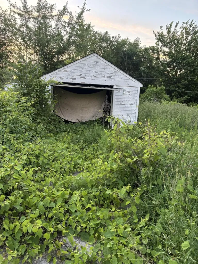 13065 Elmdale Street Detroit City MI 48213