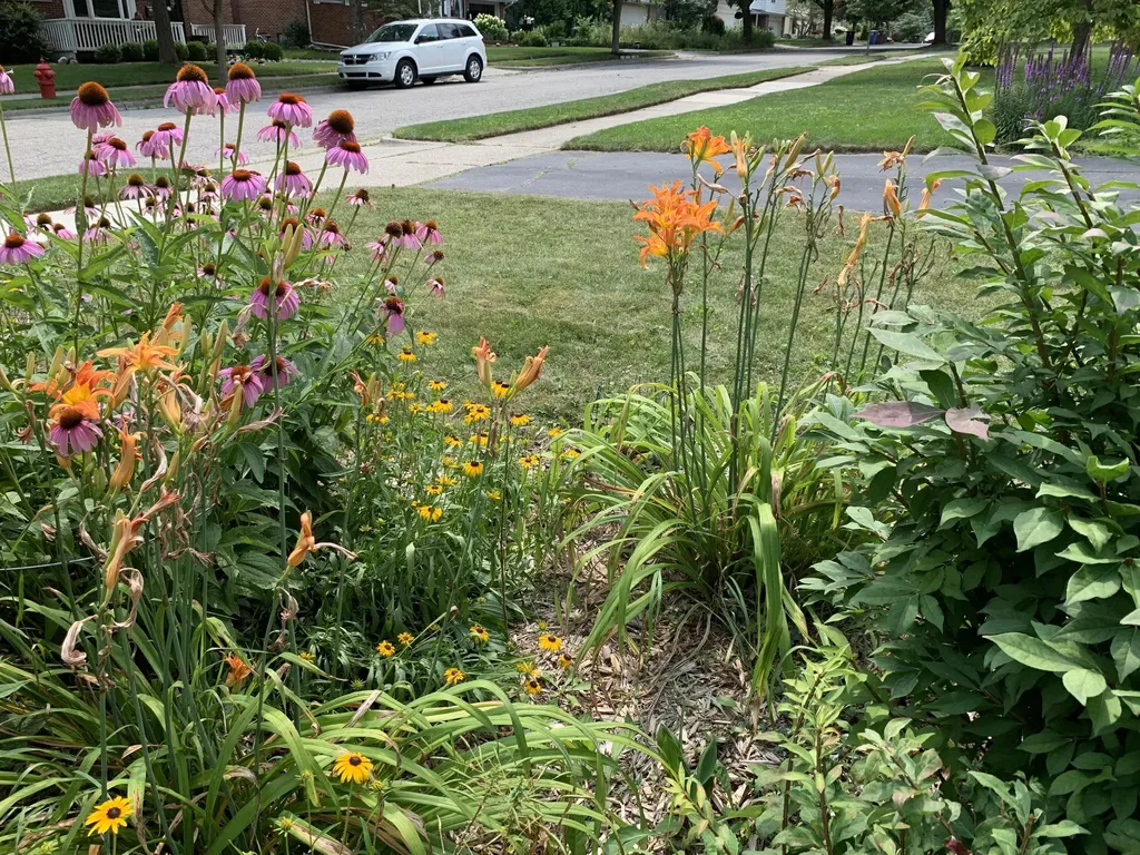 681 Archwood Drive Ann Arbor City MI 48103