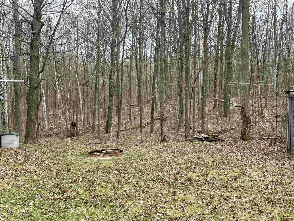0000 Ironwood Rose Township MI 48635