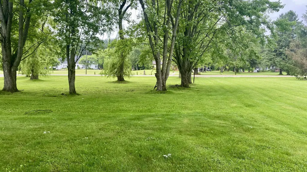 641 Tracey Lane Brighton Township MI 48114