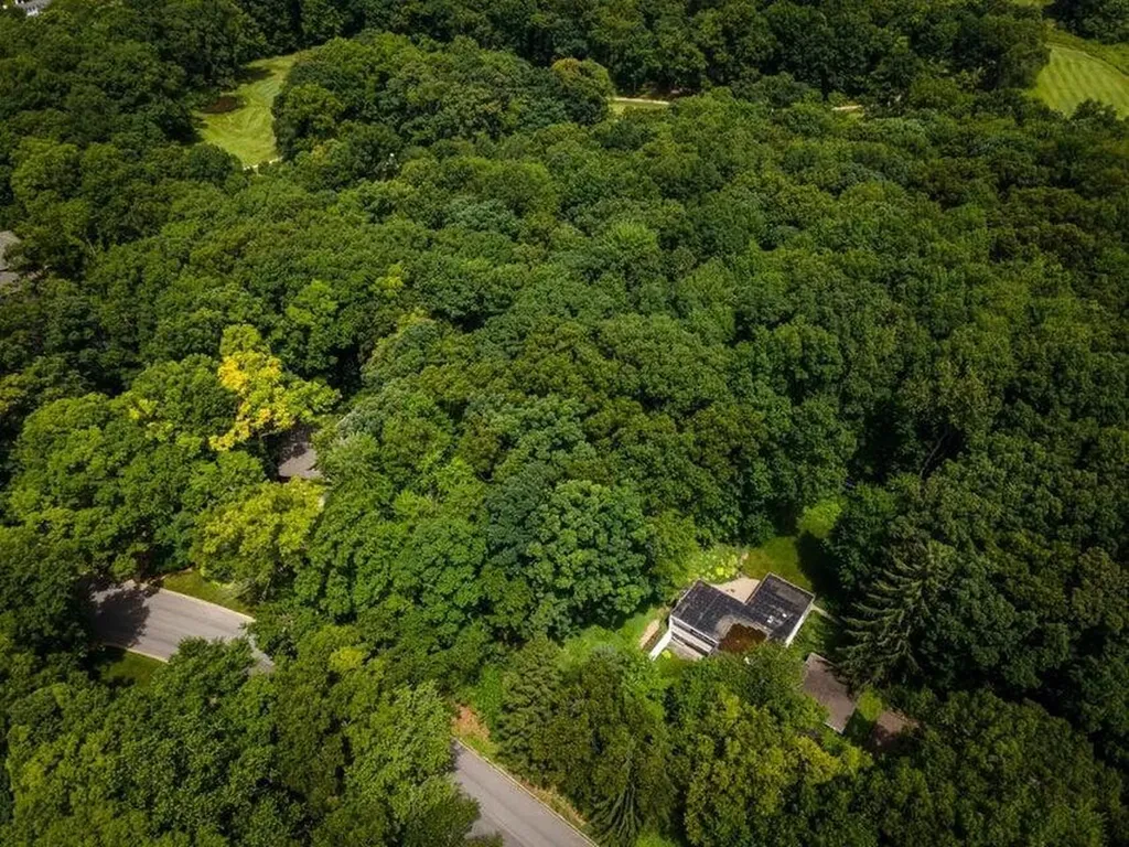 3081 Overridge Drive Ann Arbor City MI 48104