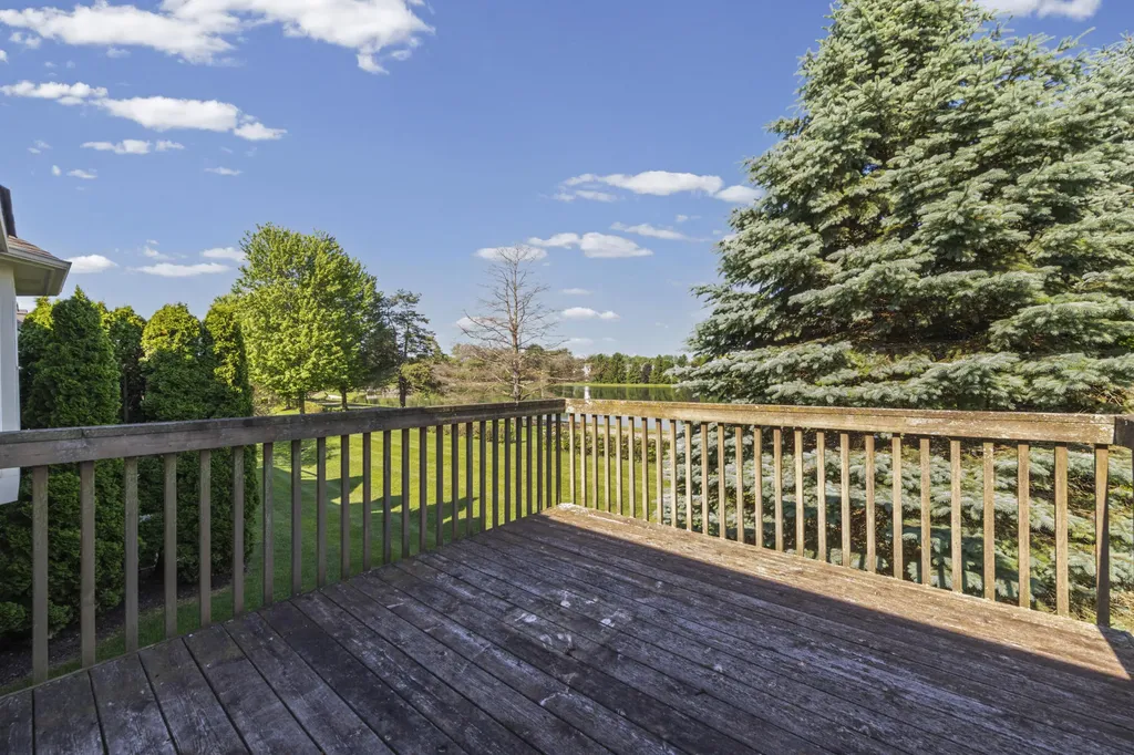28061 Tremonte Drive Lyon Charter Township MI 48165