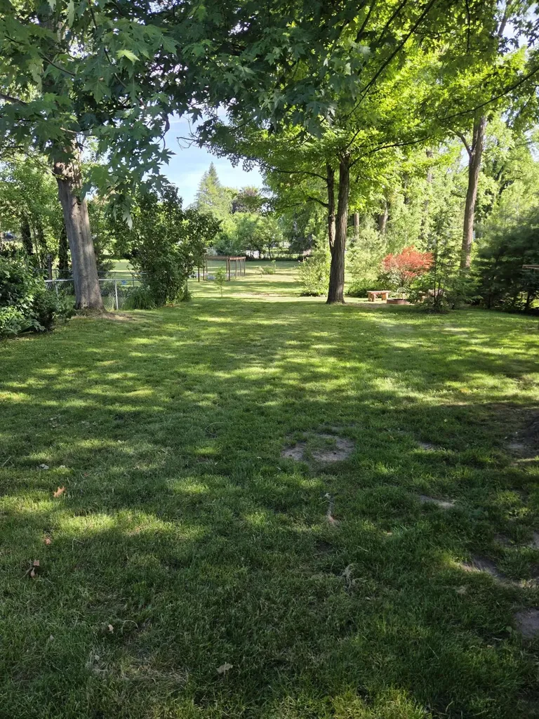 207 Michigan Street Brooklyn Village MI 49230