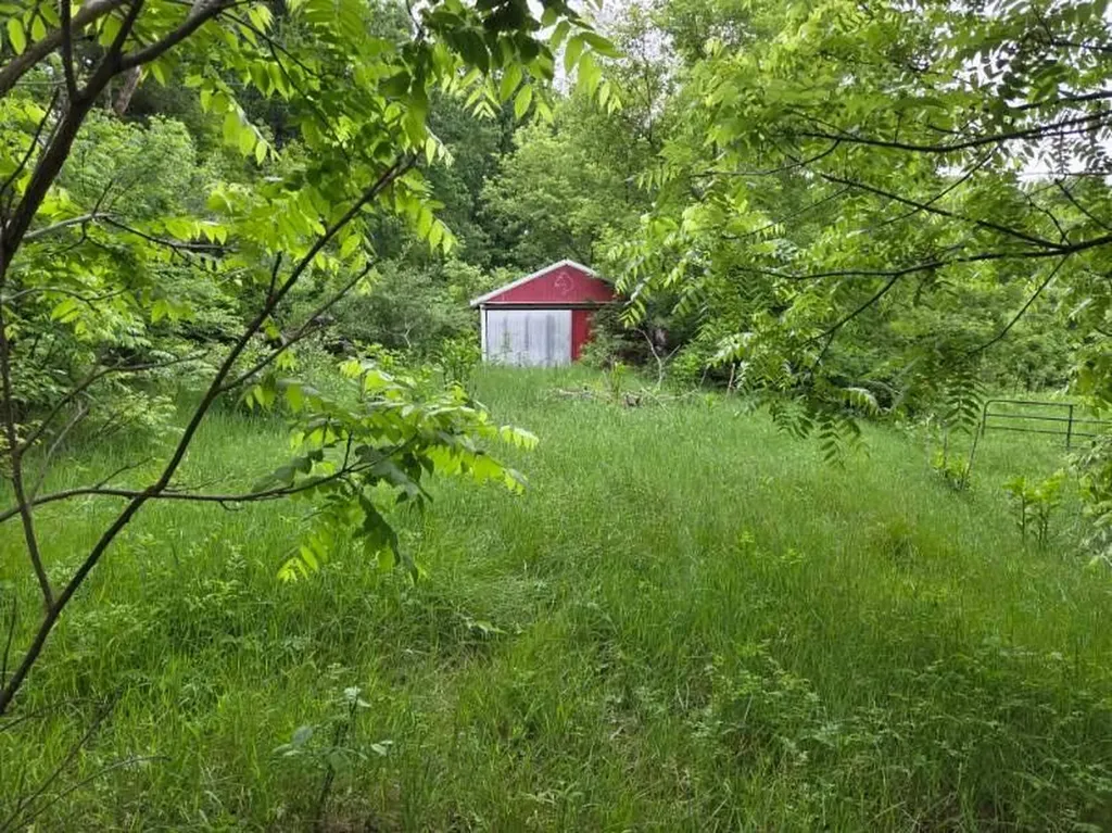6980 Wooster Road Henrietta Township MI 49201