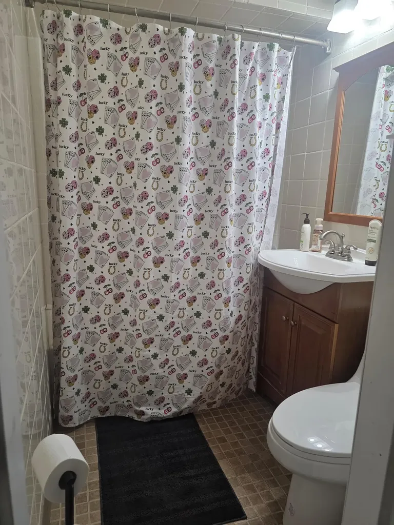 14185 Conover Place Romulus City MI 48174